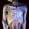 "Stiffler Morgue Corpse" Professional Human Body Halloween Prop