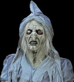"Swamp Hag" HD Studios Costume -Halloween Props Shop swamp hag hd studios costume 30783282249776