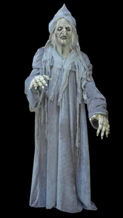 "Swamp Hag" HD Studios Costume