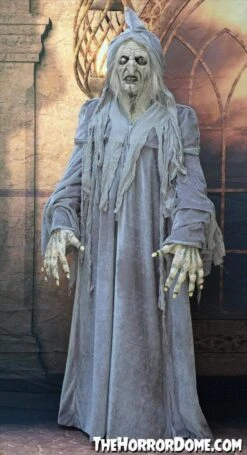 "Swamp Hag" HD Studios Costume -Halloween Props Shop swamp hag hd studios costume 30783337562160