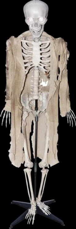 "Talking Skeleton" Halloween Prop - Open Box