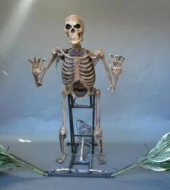 "The Bushwacker" Skeleton Halloween Animatronic 6 "The Bushwacker" Skeleton Halloween Animatronic -Halloween Props Shop the bushwacker skeleton halloween animatronic 8721662785