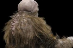 "The Hobgoblin" HD Studios Pro Costume -Halloween Props Shop the hobgoblin hd studios pro halloween costume 8721737217