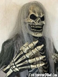 Skeletal Remains HD Studios Pro Costume -Halloween Props Shop tomb raider skeleton hd studios pro halloween costume 7249841225776