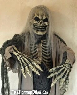 Skeletal Remains HD Studios Pro Costume -Halloween Props Shop tomb raider skeleton hd studios pro halloween costume 7250253152304