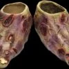 "Undead Zombie" Halloween Costume Feet -Halloween Props Shop undead zombie halloween costume feet 14160895148080