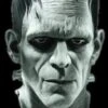 "Universal Studios Frankenstein" Mask -Halloween Props Shop universal studios frankenstein halloween mask 8179988225