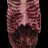 "Walking Dead - Walker Latex Chest" Zombie Costume Accessory -Halloween Props Shop walking dead walker latex chest zombie costume accessory 14231502618672
