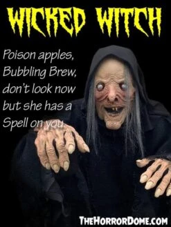 "Wicked Witch" HD Comfort Costume -Halloween Props Shop wicked witch hd studios comfort fit halloween costume 14335789858864