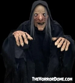 "Wicked Witch" HD Comfort Costume -Halloween Props Shop wicked witch hd studios comfort fit halloween costume 14335880822832