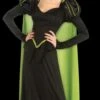 "Wicked Witch Of The West" Costume (Adult) 1 "Wicked Witch Of The West" Costume (Adult) -Halloween Props Shop wicked witch of the west women s halloween costume adult 28426752950320