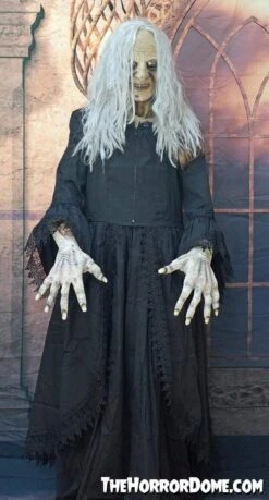 "Witchy Woman" HD Studios Costume 11 "Witchy Woman" HD Studios Costume -Halloween Props Shop witchy woman hd studios halloween costume 28885599977520