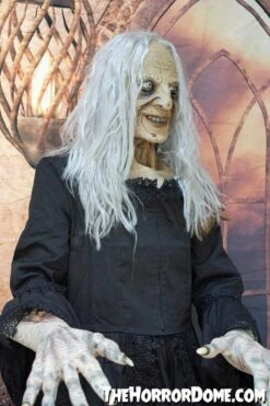 "Witchy Woman" HD Studios Costume 12 "Witchy Woman" HD Studios Costume -Halloween Props Shop witchy woman hd studios halloween costume 28885601255472