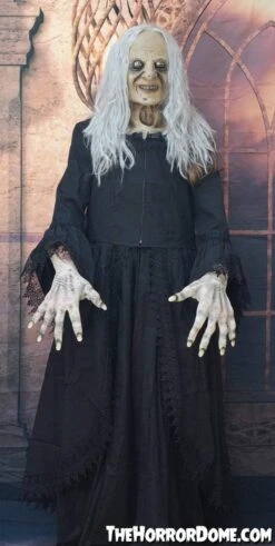 "Witchy Woman" HD Studios Costume 13 "Witchy Woman" HD Studios Costume -Halloween Props Shop witchy woman hd studios halloween costume 28885601943600
