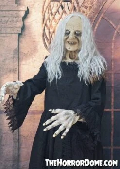 "Witchy Woman" HD Studios Costume 10 "Witchy Woman" HD Studios Costume -Halloween Props Shop witchy woman hd studios halloween costume 28885602369584