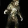 "Wolf Man" Professional Costume -Halloween Props Shop wolf man professional halloween costume 14480197287984