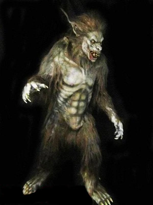 "Wolf Man" Professional Costume 3 "Wolf Man" Professional Costume
