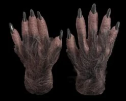 "Wolfman" HD Studios Mask And Hand Combo -Halloween Props Shop wolfman mask and hand combo hd studios 28867870556208
