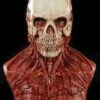 "Yorick Bloody Skull" Silicone Mask -Halloween Props Shop yorick bloody skull silicone halloween mask 14160015818800