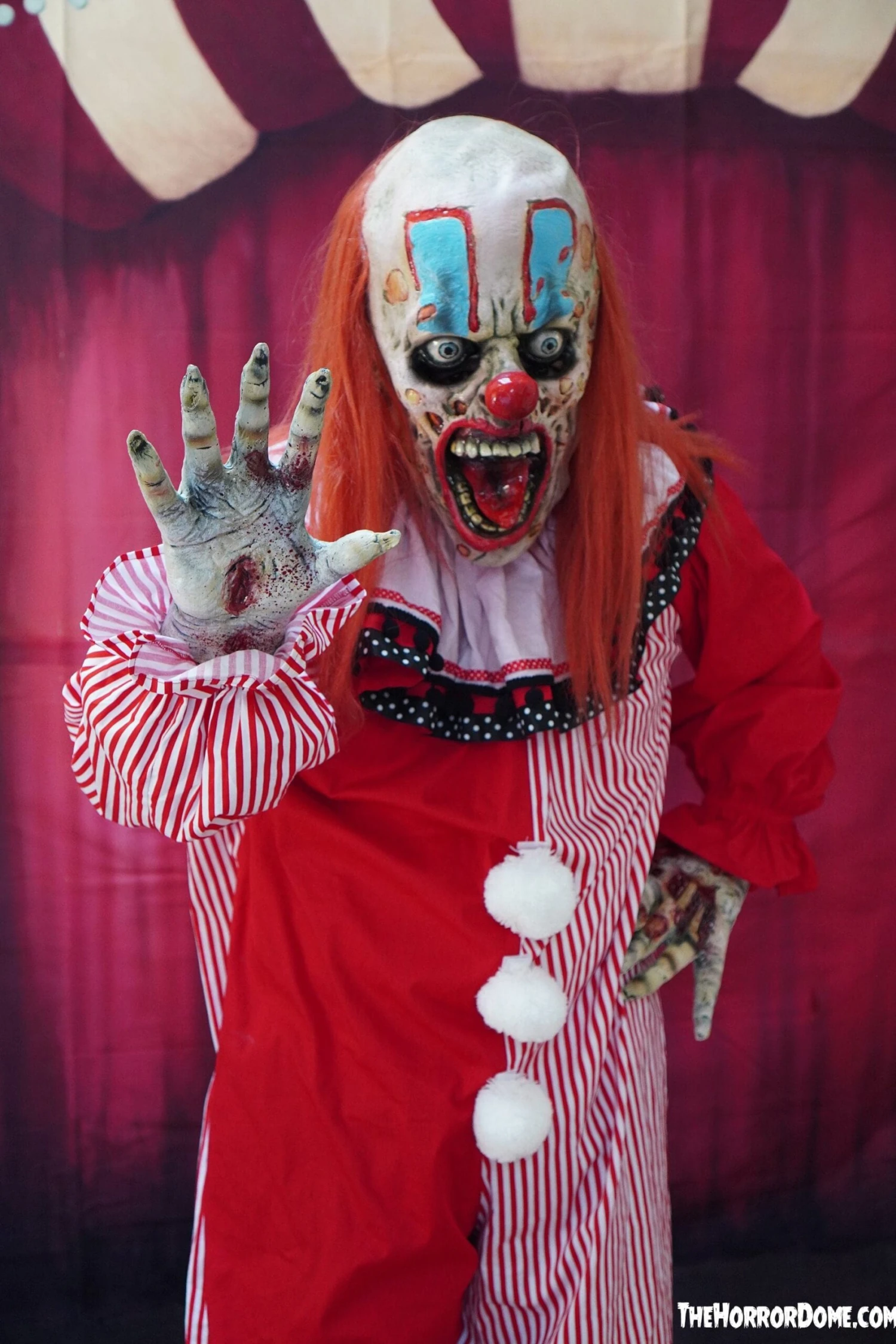 "Zero The Clown" HD Studios Costume 5 "Zero The Clown" HD Studios Costume - Image 3