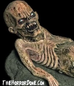 "Zombie Baby" HD Studios Halloween Puppet Prop -Halloween Props Shop zombie baby hd studios halloween puppet prop 28757064253488