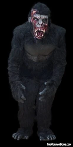 "Zombie Gorilla" HD Studios Pro Costume -Halloween Props Shop zombie gorilla hd studios pro costume 29597208444976