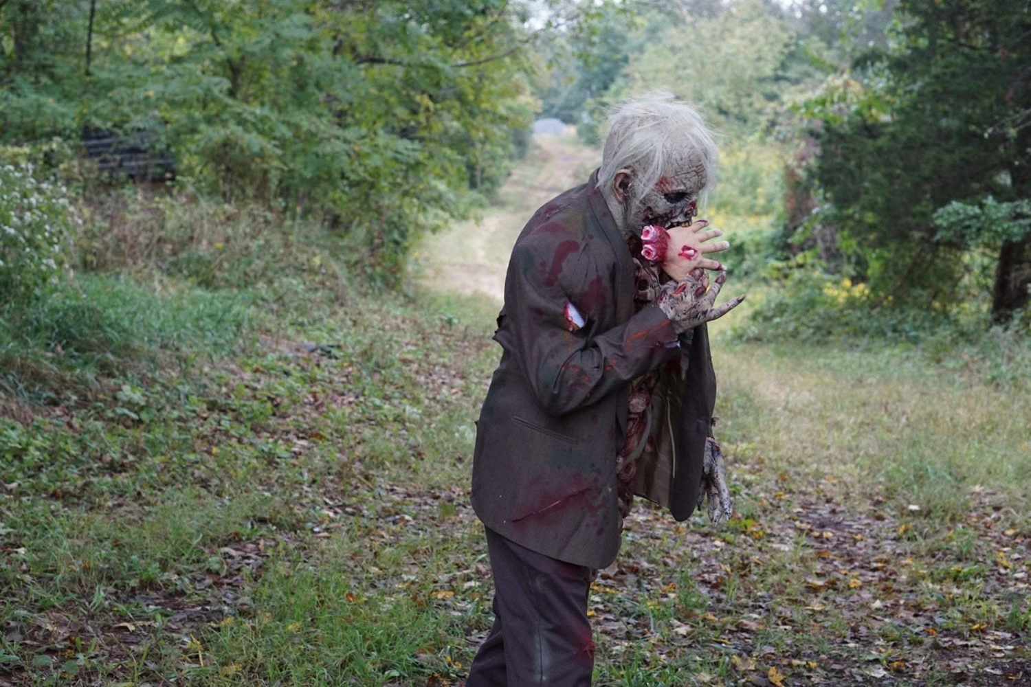 "Zombie Walker" HD Studios Pro Costume 10 "Zombie Walker" HD Studios Pro Costume - Image 8