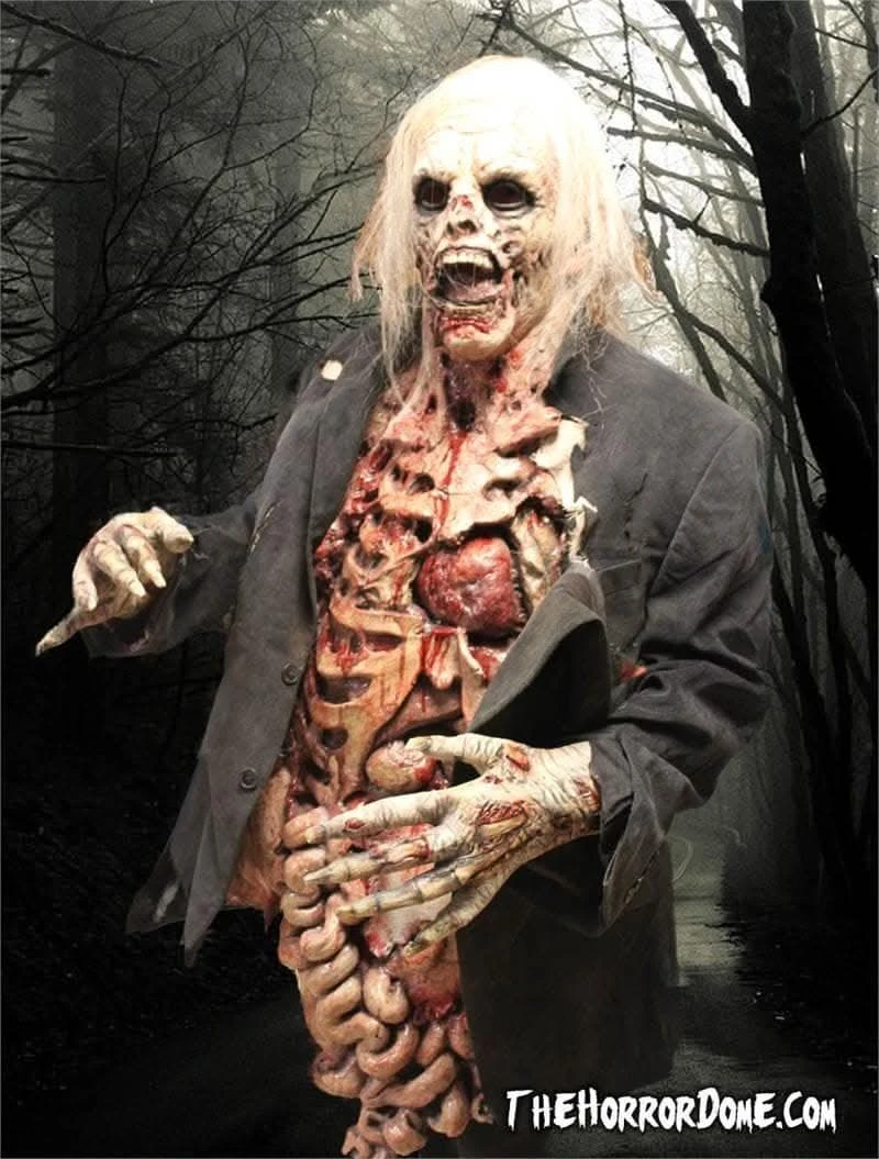 "Zombie Walker" HD Studios Pro Costume 5 "Zombie Walker" HD Studios Pro Costume - Image 3