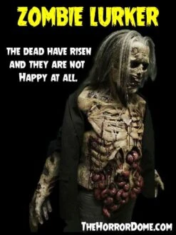 "Zombies" HD Studios Pro Costumes - 3x Package Deal -Halloween Props Shop zombies hd studios pro halloween costumes 3x package deal 14334963154992